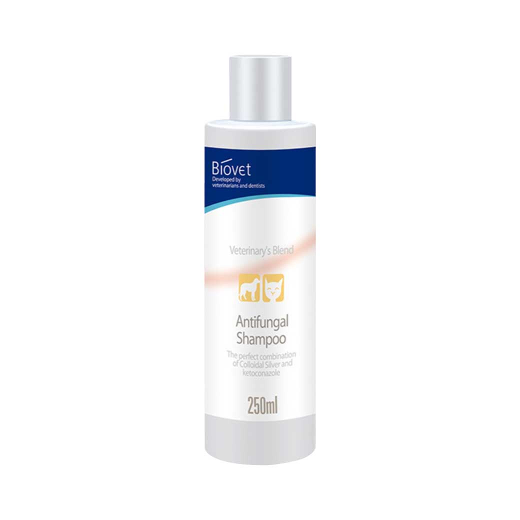 BIOLINE Biovet Antifungal Shampoo 250ml. ไบโอไลน์ แชมพูอาบน้ำ สุนัขและแมว สูตรกำจัดเชื้อรา